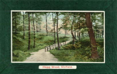 59. Hagg Wood